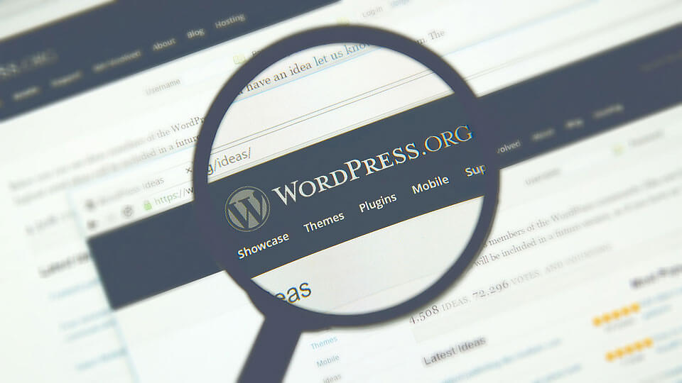 wordpress nedir